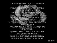 /album/fotogaleria/paloma-negra-jpg/